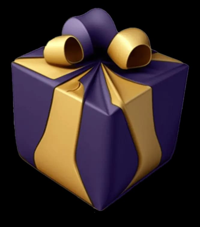 Large gift box